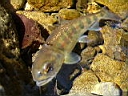 2007-03-01 011.JPG